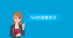 foot的复数形式,foot名词的复数形式