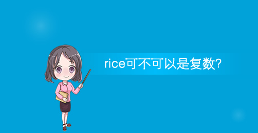 rice可不可以是复数