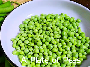 A Plate of Peas 一盘豌豆