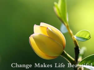 Change Makes Life Beautiful 生命美于变化