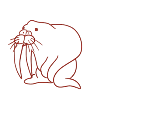一只苍老的海狮简笔画画法