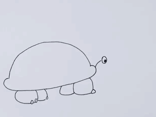 乌龟海龟简笔画图片