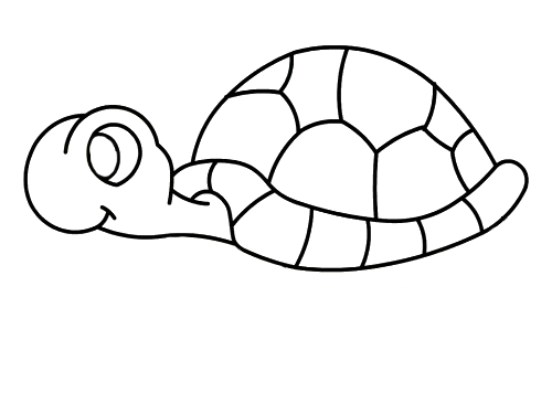 乌龟儿童简笔画