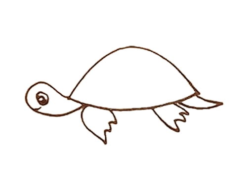 动物小乌龟简笔画