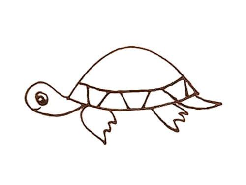 动物小乌龟简笔画
