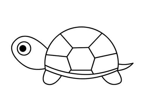 幼儿园简单小乌龟简笔画