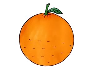 水果橙子(orange)简笔画
