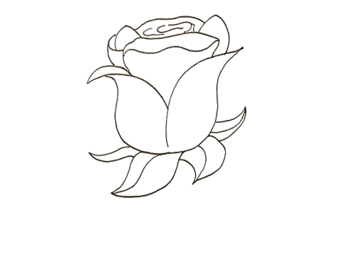 植物一朵玫瑰花简笔画