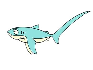长尾鲨鲨鱼简笔画