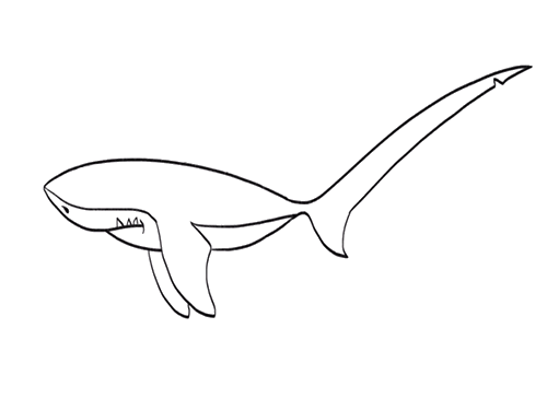 长尾鲨鲨鱼简笔画