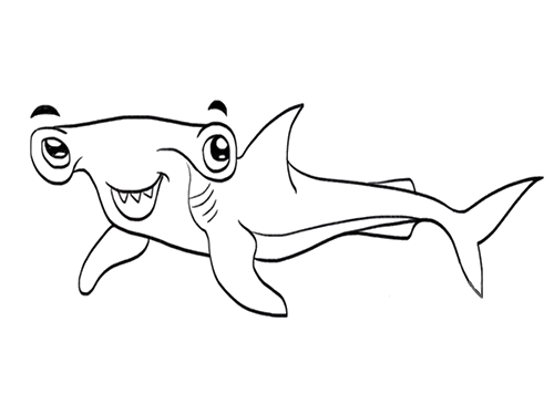 双髻鲨鲨鱼简笔画