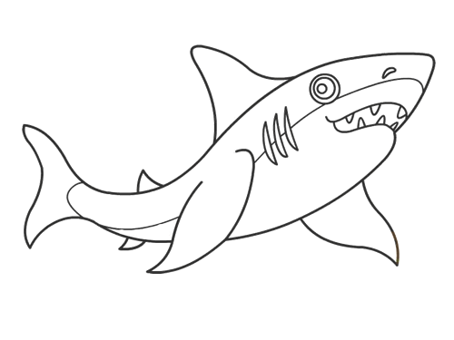 鲨鱼简笔画之幼儿绘画