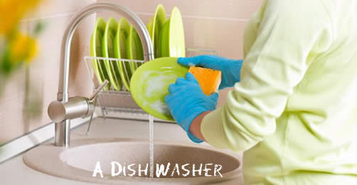A Dish Washer 洗碗工