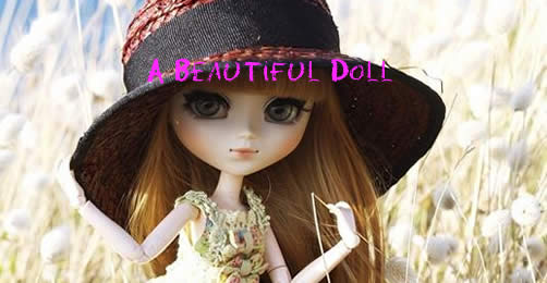 A Beautiful Doll 漂亮的洋娃娃