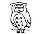 owl [aʊl] 猫头鹰