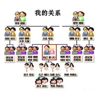 亲戚计算器-中国人亲戚关系称呼计算