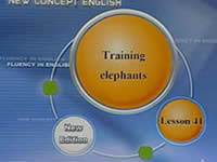 Lesson 41 Training elephants