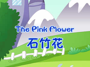 The pink flower