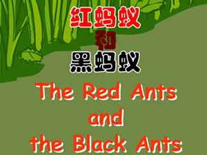 The Red Ants and The Black Ants
