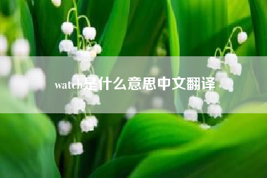 watch是什么意思中文翻译~watch 是什么意思啊