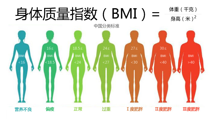 体重指数bmi标准