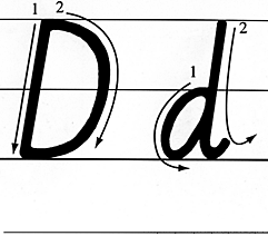 字母d的书写格式图片