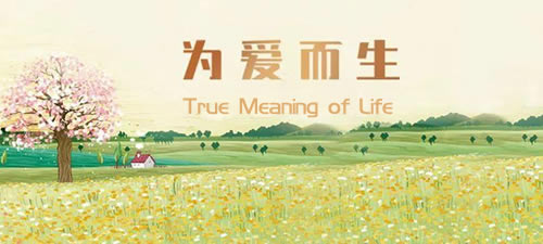 True Meaning of Life 生活的真谛