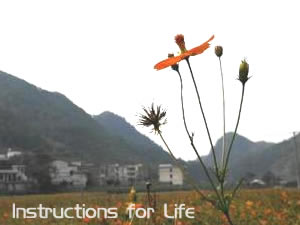 Instructions for Life 生命的启示