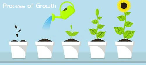 Process of Growth 成长的过程