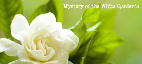 Mystery of the White Gardenia 栀子花之谜