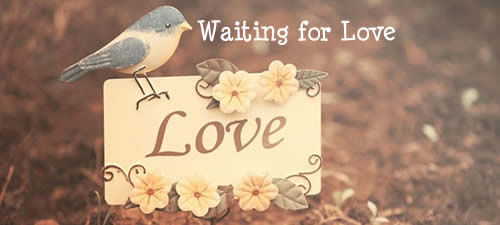 Waiting for Love 爱的等待