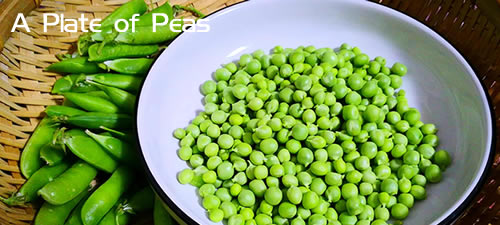 A Plate of Peas 一盘豌豆