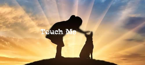 Touch Me 抚摸我