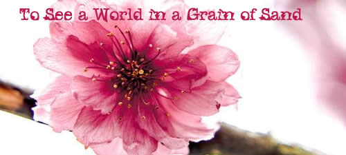 To See a World in a Grain of Sand  一花一世界