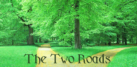 The Two Roads 两条道路