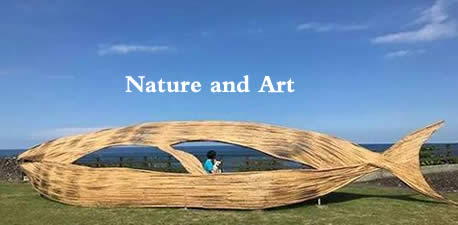 Nature and Art 自然与艺术