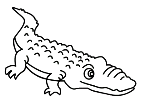彩色鳄鱼简笔画