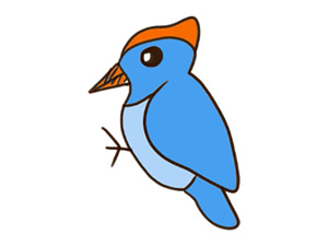 蓝色啄木鸟简笔画