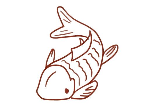 红鲤鱼简笔画简单图片