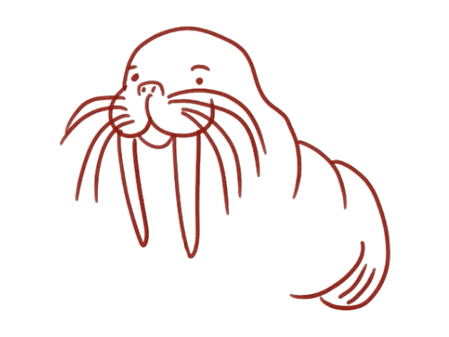 坏笑的海狮简笔画