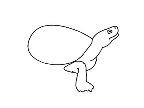 逼真的乌龟简笔画