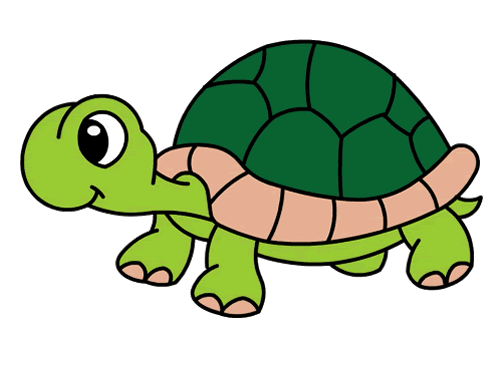 乌龟 简笔画彩图图片