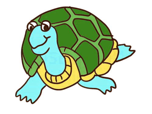 一只优雅的乌龟简笔画