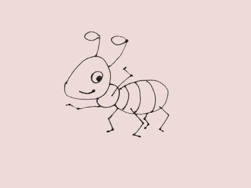 昆虫简笔画蚂蚁 