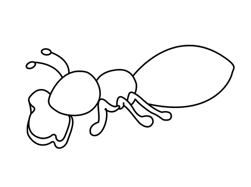 吃奶酪的蚂蚁简笔画 