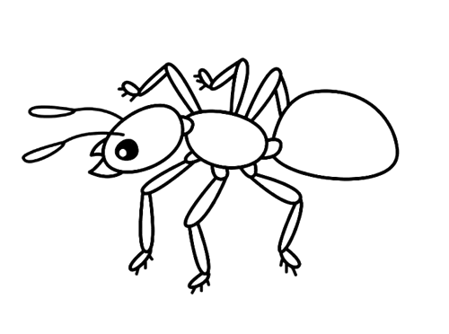 蚂蚁简笔画 