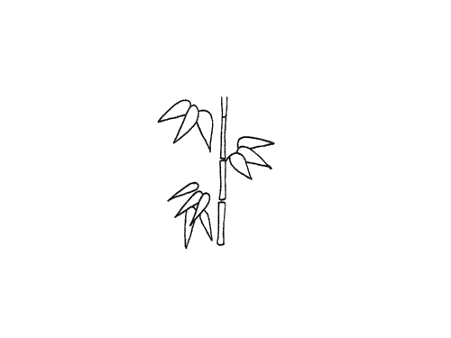 竹叶子简笔画图片