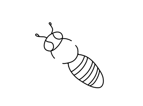 爬行的蜜蜂简笔画 