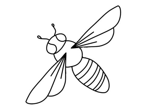 爬行的蜜蜂简笔画 