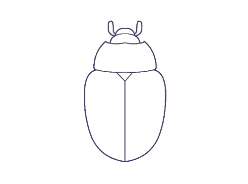 甲壳虫动物简笔画图片